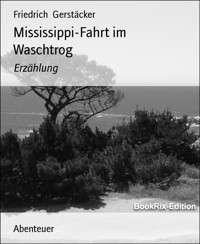 Mississippi-Fahrt im Waschtrog - Friedrich Gerstäcker - E-Book