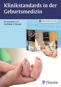 Klinikstandards in der Geburtsmedizin - - E-Book