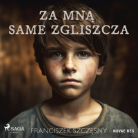 Za mną same zgliszcza - Franciszek Szczęsny - Hörbuch