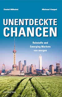 Unentdeckte Chancen - Michael Vaupel - E-Book