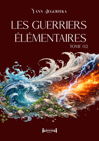 Les guerriers élémentaires - Tome 2 - Yann Jegodtka - E-Book