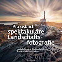 Praxisbuch spektakuläre Landschaftsfotografie - Albert Dros - E-Book