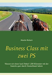 Business Class mit zwei PS - Martin Rickert - E-Book