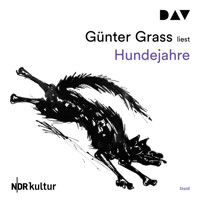 Hundejahre (Gekürzt) - Günter Grass - Hörbuch