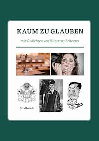 Kaum zu glauben - Hubertus Scheurer - E-Book