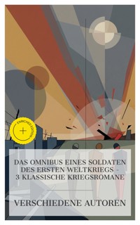 Das Omnibus eines Soldaten des Ersten Weltkriegs – 3 klassische Kriegsromane - Walter Flex - E-Book