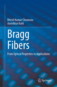Bragg Fibers - Ritesh Kumar Chourasia - E-Book