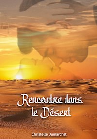 Rencontre dans le désert - Christelle Dumarchat - E-Book