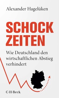 Schock-Zeiten - Alexander Hagelüken - E-Book