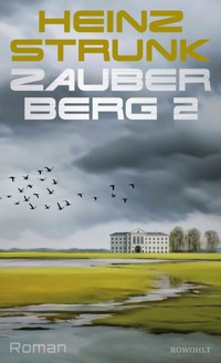 Zauberberg 2 - Heinz Strunk - E-Book