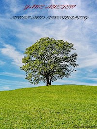 Sense and Sensibility (Illustrated) - Jane Austen - E-Book