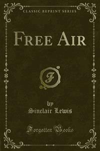 Free Air - Sinclair Lewis - E-Book