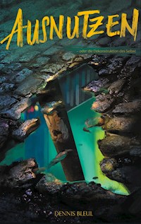 Ausnutzen - Dennis Bleul - E-Book