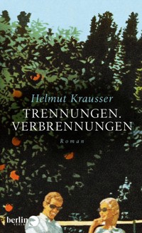 Trennungen. Verbrennungen - Helmut Krausser - E-Book