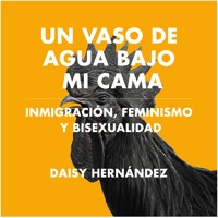 Un vaso de agua bajo mi cama. Inmigración, feminismo y bisexualidad - Daisy Hernández - Hörbuch