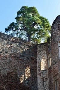 The best is yet to come - Alexandra Carter - E-Book