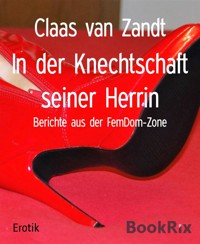 In der Knechtschaft seiner Herrin - Claas van Zandt - E-Book