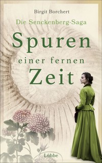 Spuren einer fernen Zeit - Birgit Borchert - E-Book
