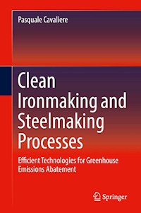Clean Ironmaking and Steelmaking Processes - Pasquale Cavaliere - E-Book