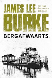 Bergafwaarts - James Lee Burke - E-Book