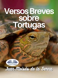 Versos Breves Sobre Tortugas - Juan Moisés de la Serna - E-Book