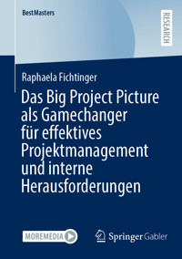 Das Big Project Picture als Gamechanger für effektives Projektmanagement und interne Herausforderungen - Raphaela Fichtinger - E-Book