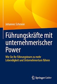 Führungskräfte mit unternehmerischer Power - Johannes Schmeer - E-Book