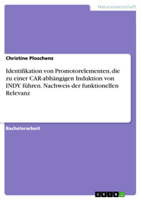Identifikation von Promotorelementen, die zu einer CAR-abhängigen Induktion von INDY führen. Nachweis der funktionellen Relevanz - Christine Ploschenz - E-Book