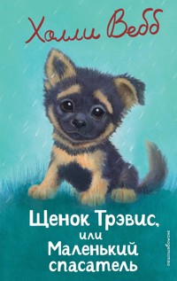 Щенок Трэвис, или Маленький спасатель - Холли Вебб - E-Book