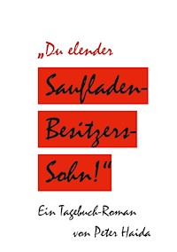 Du elender Saufladenbesitzerssohn! - Peter Haida - E-Book