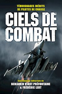 Ciels de combat - Benjamin Vinot-Préfontaine - E-Book