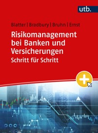 Risikomanagement bei Banken und Versicherungen Schritt für Schritt - Anja Blatter - E-Book