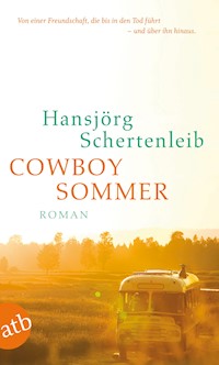 Cowboysommer - Hansjörg Schertenleib - E-Book