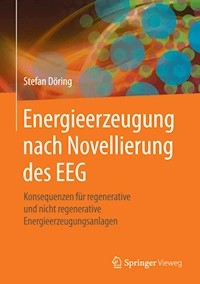 Energieerzeugung nach Novellierung des EEG - Stefan Döring - E-Book