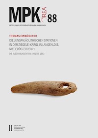Die jungpaläolithischen Stationen in der Ziegelei Kargl in Langenlois, Niederösterreich - Thomas Einwögerer - E-Book