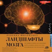 Ландшафты мозга - Ребекка Шварцлоуз - Hörbuch
