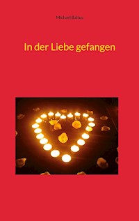 In der Liebe gefangen - Michael Baltus - E-Book