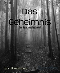 Das Geheimnis - Sara Brandenburg - E-Book