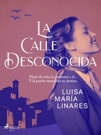La calle desconocida - Luisa María Linares - E-Book
