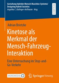 Kinetose als Merkmal der Mensch-Fahrzeug-Interaktion - Adrian Brietzke - E-Book
