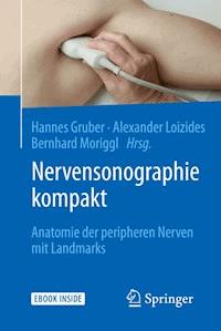 Nervensonographie kompakt -  - E-Book