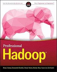 Professional Hadoop - Benoy Antony - E-Book