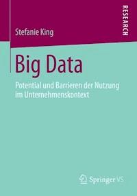 Big Data - Stefanie King - E-Book