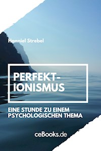 Perfektionismus - Hanniel Strebel - E-Book
