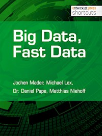 Big Data, Fast Data - Jochen Mader - E-Book