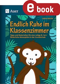 Endlich Ruhe im Klassenzimmer - Sabine Reichel - E-Book