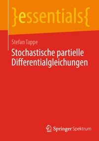Stochastische partielle Differentialgleichungen - Stefan Tappe - E-Book