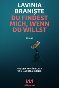 Du findest mich, wenn du willst - Lavinia Braniște - E-Book
