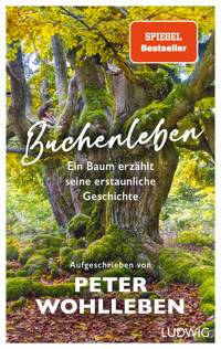 Buchenleben - Peter Wohlleben - E-Book