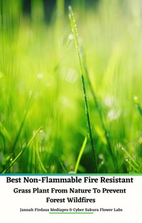 Best Non-Flammable Fire Resistant Grass Plant From Nature to Prevent Forest Wildfires - Jannah Firdaus Mediapro - E-Book